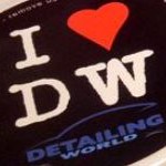 detailing world